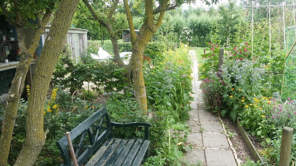 De Kluiskaemer In De Olde Banck Stavoren Exteriör bild